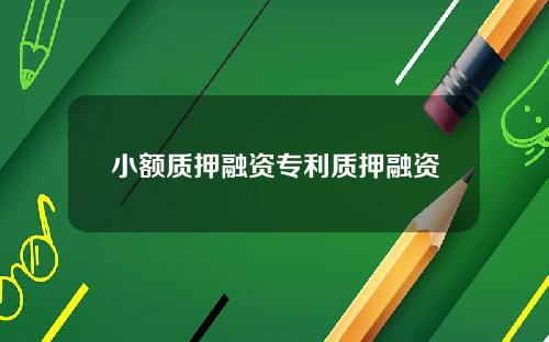 小额质押融资专利质押融资