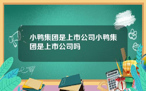 小鸭集团是上市公司小鸭集团是上市公司吗