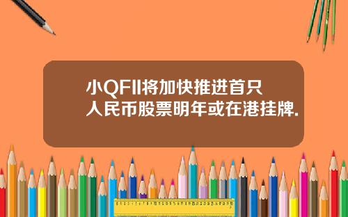 小QFII将加快推进首只人民币股票明年或在港挂牌.