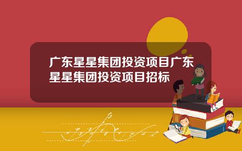 广东星星集团投资项目广东星星集团投资项目招标