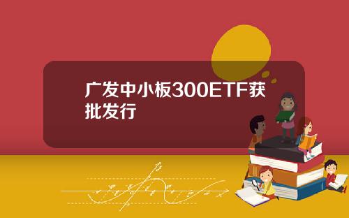 广发中小板300ETF获批发行