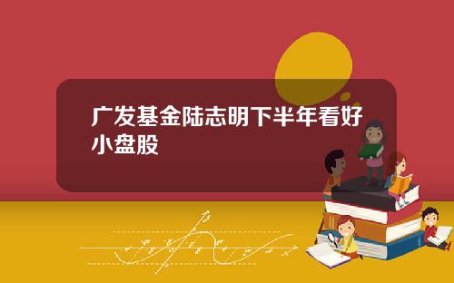 广发基金陆志明下半年看好小盘股