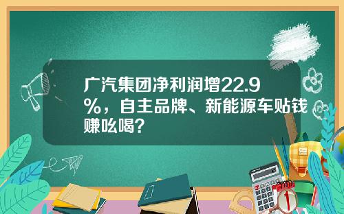 广汽集团净利润增22.9%，自主品牌、新能源车贴钱赚吆喝？