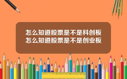 怎么知道股票是不是科创板怎么知道股票是不是创业板