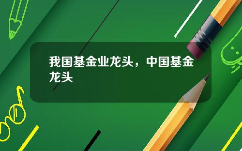 我国基金业龙头，中国基金龙头