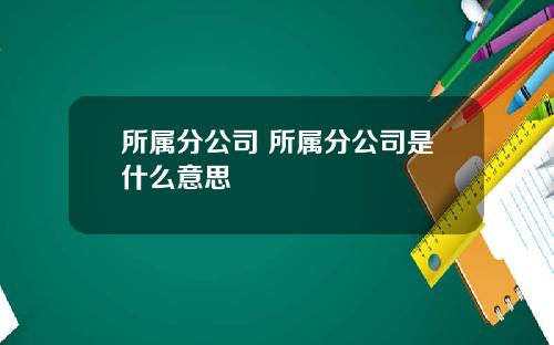 所属分公司 所属分公司是什么意思