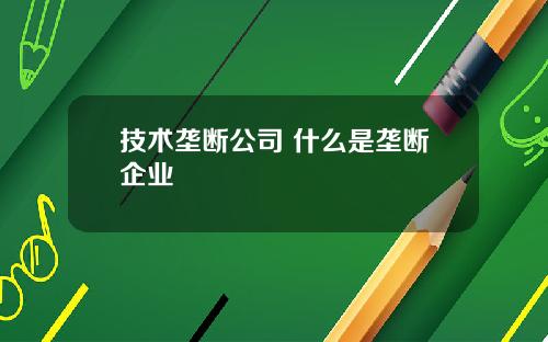 技术垄断公司 什么是垄断企业