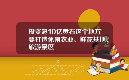 投资超10亿黄石这个地方要打造休闲农业、鲜花基地、旅游景区