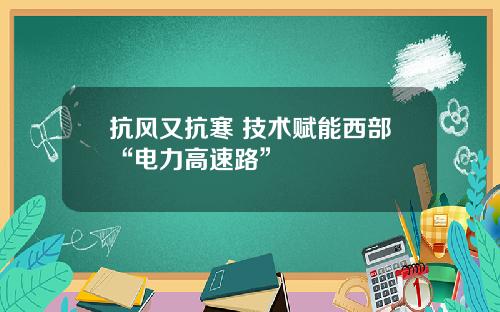 抗风又抗寒 技术赋能西部“电力高速路”