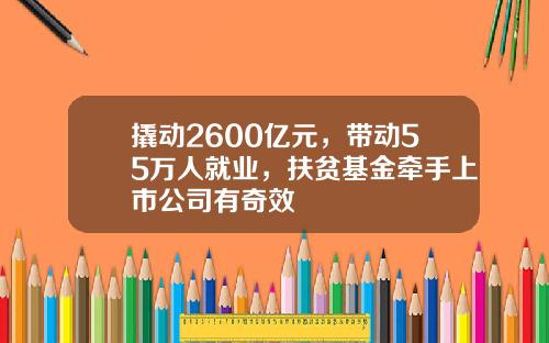 撬动2600亿元，带动55万人就业，扶贫基金牵手上市公司有奇效