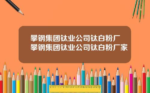 攀钢集团钛业公司钛白粉厂攀钢集团钛业公司钛白粉厂家