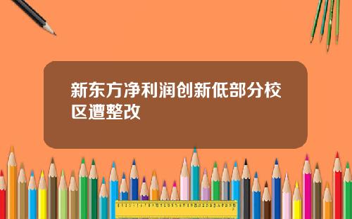 新东方净利润创新低部分校区遭整改