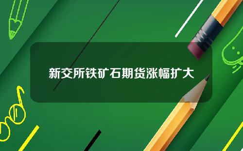 新交所铁矿石期货涨幅扩大