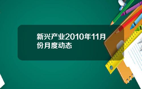 新兴产业2010年11月份月度动态