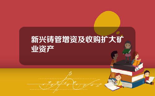 新兴铸管增资及收购扩大矿业资产