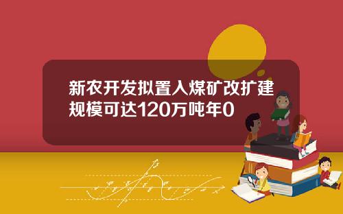 新农开发拟置入煤矿改扩建规模可达120万吨年0