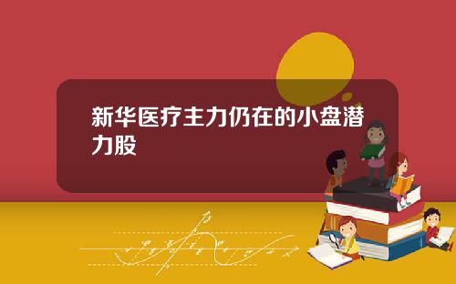 新华医疗主力仍在的小盘潜力股
