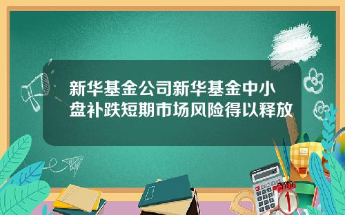 新华基金公司新华基金中小盘补跌短期市场风险得以释放