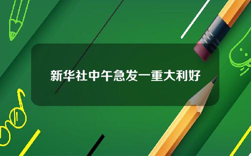 新华社中午急发一重大利好