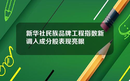 新华社民族品牌工程指数新调入成分股表现亮眼
