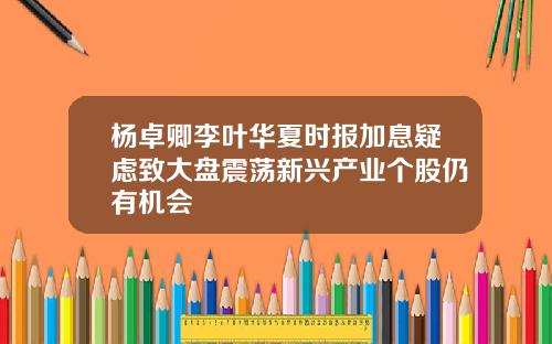 杨卓卿李叶华夏时报加息疑虑致大盘震荡新兴产业个股仍有机会