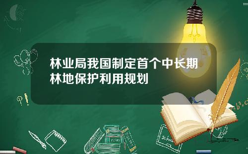 林业局我国制定首个中长期林地保护利用规划
