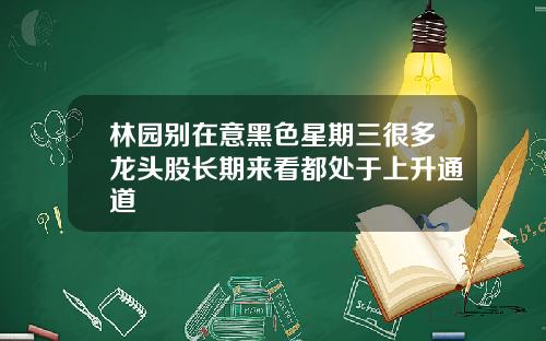 林园别在意黑色星期三很多龙头股长期来看都处于上升通道