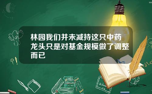 林园我们并未减持这只中药龙头只是对基金规模做了调整而已