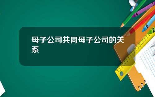 母子公司共同母子公司的关系