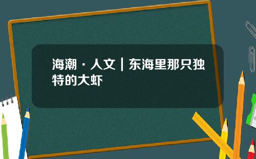 海潮·人文｜东海里那只独特的大虾