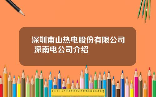 深圳南山热电股份有限公司 深南电公司介绍