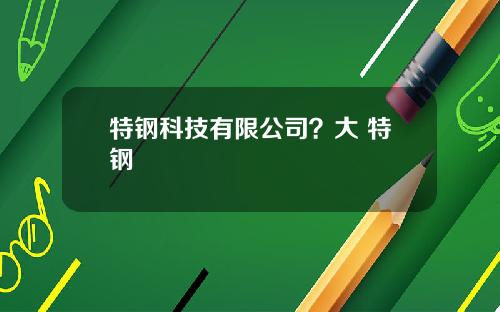 特钢科技有限公司？大 特钢