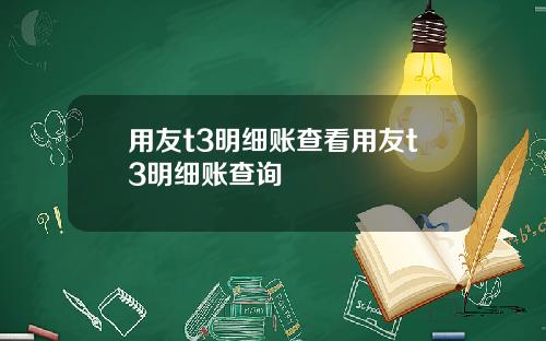 用友t3明细账查看用友t3明细账查询