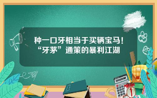种一口牙相当于买辆宝马！“牙茅”通策的暴利江湖