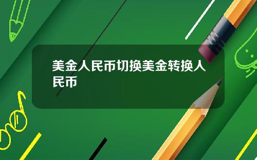 美金人民币切换美金转换人民币