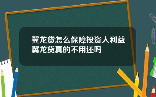 翼龙贷怎么保障投资人利益翼龙贷真的不用还吗