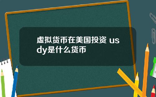 虚拟货币在美国投资 usdy是什么货币