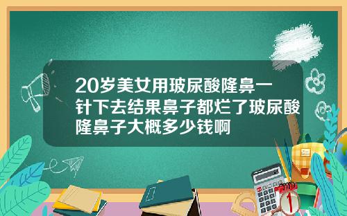 20岁美女用玻尿酸隆鼻一针下去结果鼻子都烂了玻尿酸隆鼻子大概多少钱啊