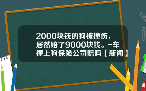 2000块钱的狗被撞伤，居然赔了9000块钱。-车撞上狗保险公司赔吗【新闻】.
