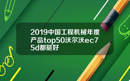 2019中国工程机械年度产品top50沃尔沃ec75d都挺好