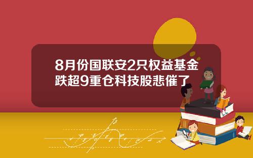 8月份国联安2只权益基金跌超9重仓科技股悲催了