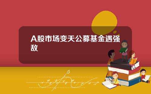 A股市场变天公募基金遇强敌