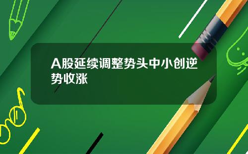 A股延续调整势头中小创逆势收涨