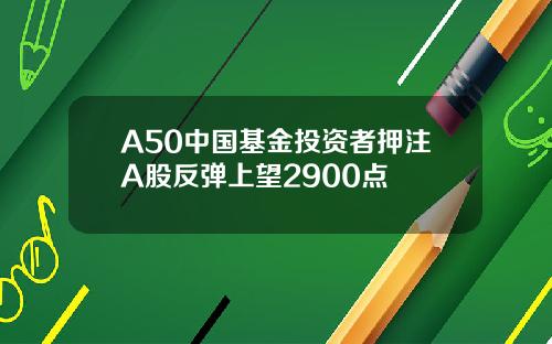 A50中国基金投资者押注A股反弹上望2900点