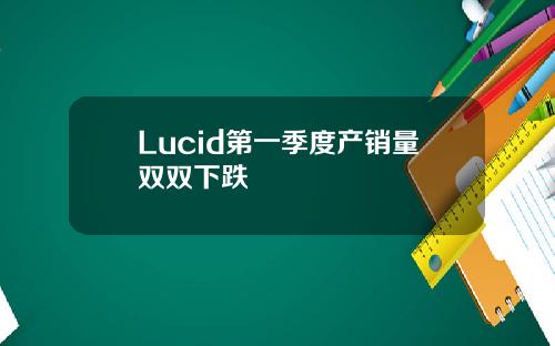 Lucid第一季度产销量双双下跌