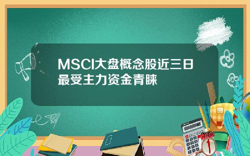 MSCI大盘概念股近三日最受主力资金青睐