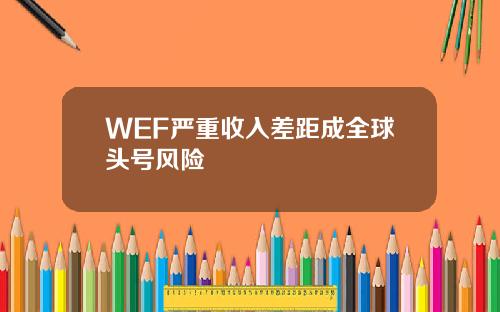 WEF严重收入差距成全球头号风险