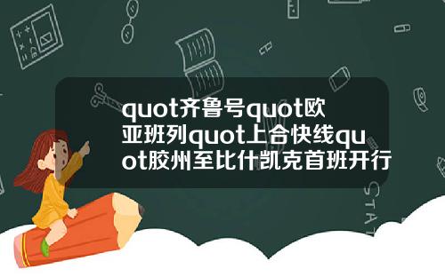 quot齐鲁号quot欧亚班列quot上合快线quot胶州至比什凯克首班开行