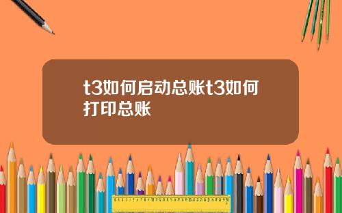 t3如何启动总账t3如何打印总账