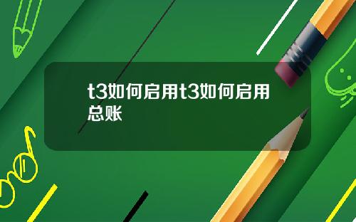 t3如何启用t3如何启用总账
